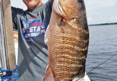 Dylan Shingler with a real nice mangrove snapper caught in St. Andrew bay.