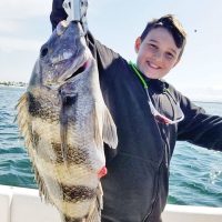 Evan Mixon did a great job carefully pulling this monster sheepshead up to the Adrenaline boat on light spinning gear.