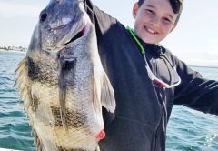 Evan Mixon did a great job carefully pulling this monster sheepshead up to the Adrenaline boat on light spinning gear.