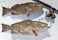 Gags on the deep jig.