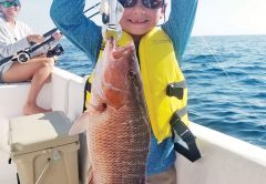 Gavin Gonterman from Corpus Christi, Texas cranking up mangrove snapper with Capt. Jason.