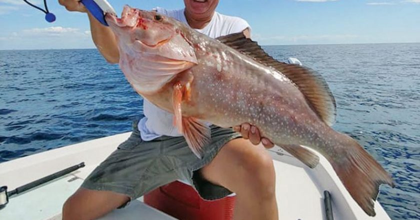 Glenn with a fine red grouper on the opening day of fall snapper season on the C-note boat.