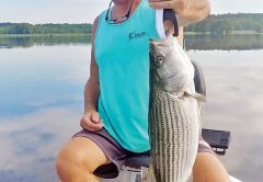 Guide JR with a nice striper caught topwater fishing for largemouth bass. Explosive & fun.