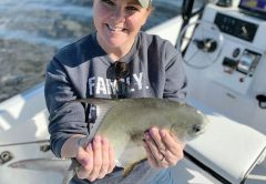 Here’s a rare find! A permit caught in our bay with Capt Rosie Reelrosie Charters.
