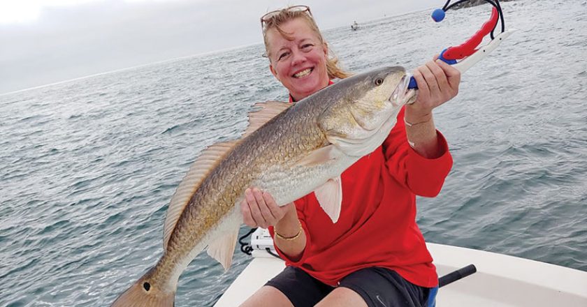 Joan traveled all the way up from Tampa to catch and release this bull red aboard the C-note boat.