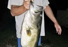 Johnny Newsome bagged this 11.5 pound stud recently.