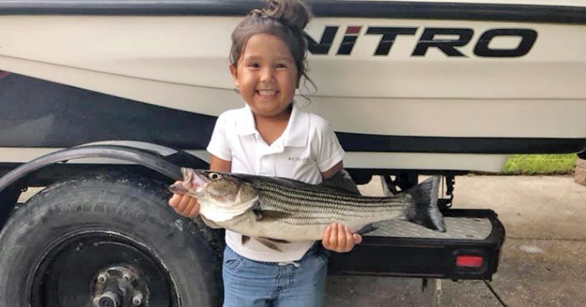 Julliette Samuelson hauled this striper to the boat trolling in East River with her dad, Knowles.