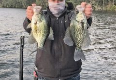 Kyle Pridgen with some slab crappie.