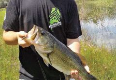 Lancin Dybdal with a nice Grassy Pond bass.