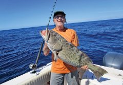 Large gag caught by Jeff Pollock with Natural World Charters in Carabelle.