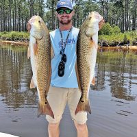 Local redfish tournament angler Michael Cowart caught these Panama City studs using a pearl colored Zman SteakZ .