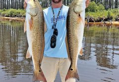 Local redfish tournament angler Michael Cowart caught these Panama City studs using a pearl colored Zman SteakZ .