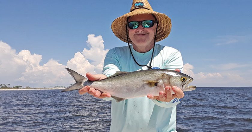 Mark Olsen with a fun blue fishin’ with Capt. Chester.