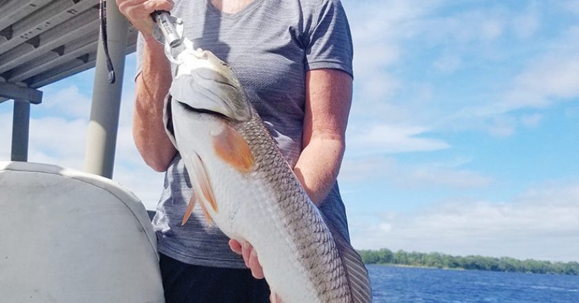 Michele Olson with a respectable red caught with Capt. Jason.