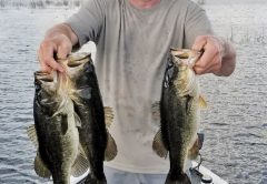 Myles Gardner caught 35 bass with fishtallahasse guide service during Christmas break.