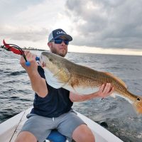 Nathan snatching on bull reds.