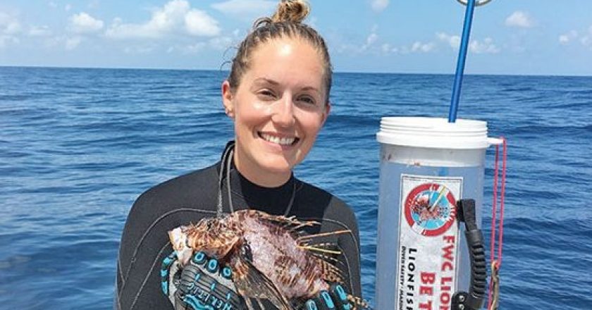 Nikkie Cox with a tagged lionfish off Franklin Co.