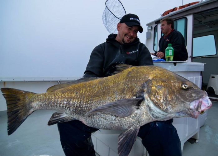 Saltwater Best Bets: 5 Top Carolina Fish - Game & Fish