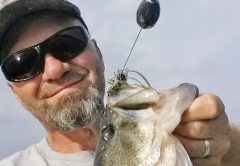 Punch rig bass.