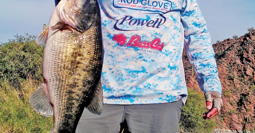 Randy honed his whacky-rigging skills out west in Arizona and landed this 11.2 lb. bass using a Gambler Ace.