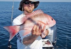 Red snapper caught by Tom McClusky.