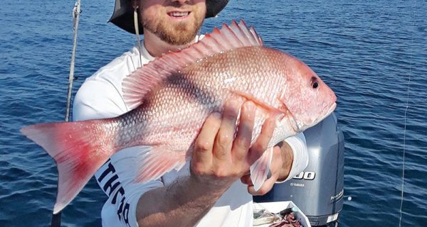 Red snapper caught by Tom McClusky.
