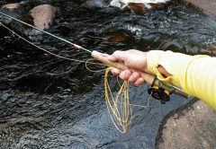 Reflections of a Fly Rod, Mark Usyk