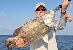 Robinson Brothers guides are sackin’ up tons of big tripletail.