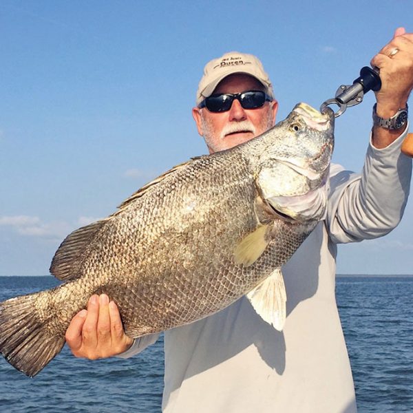 Robinson Brothers guides are sackin’ up tons of big tripletail.