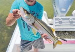 Ryan from TN caught & released this snook aboard Reel Rosie Inshore Charters in St. Andrews Bay. A rare find in these parts.