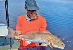 Scott Burgess from Tallahassee with a beautiful upper slot redfish caught on a Slayer INC stick bait in pearl white color.