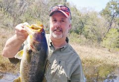 Scott caught and released this spawning Talquin bass on a recent guided trip with Capt C-note.