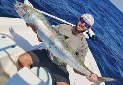 Slaying kings in PCB!