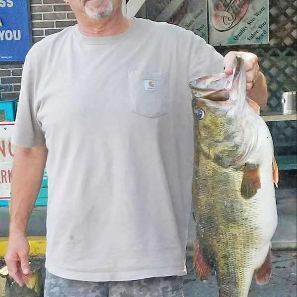 Steve Rodgers’ catch of a lifetime 15.15 pound giant he caught locally...