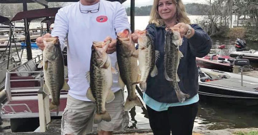 Talquin guide JR Mundinger and Julie Happersett with a nice bag of Talquin bass taken from the lily pads.