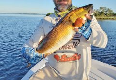 The reds in St. Andrews Bay’s stained water have turned a stunning shade of gold! And those Fish Monkey gloves are legit...