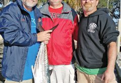 There’s still some big kings to be had.