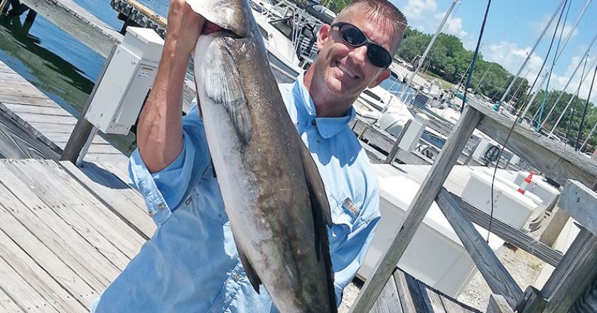 Trey is happy to have this cobia over for dinner.