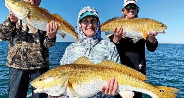 Tripled up! Capt. Jordan Todd putting clients on some beatiful bull reds off Mexico Beach, FL.