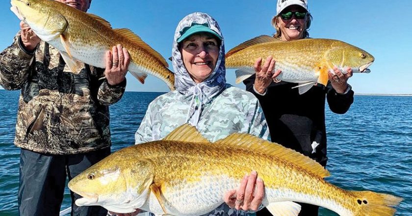 Tripled up! Capt. Jordan Todd putting clients on some beatiful bull reds off Mexico Beach, FL.