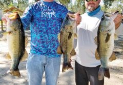 Tyler Suddarth and Steve Young with their 3-fish limit weighing in at 13 pounds of Seminole bass winning this West Side Team Trail event.