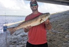 Tyler now living in PC originally from GA, is here for training and a little redfish catch & release action.