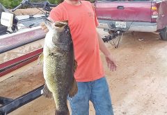 Will Nelson bagged the fish of a lifetime with this 12.87 lb beast from a Sandhill lake.