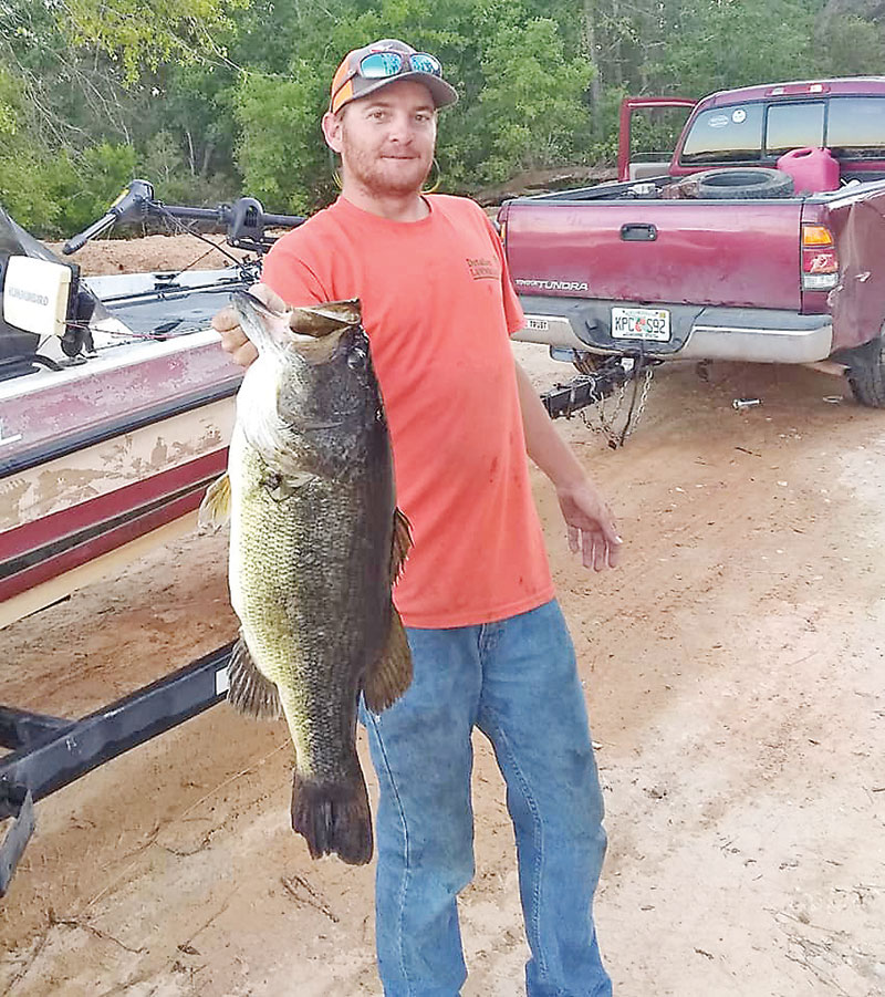Will Nelson bagged the fish of a lifetime with this 12.87 lb beast from a Sandhill lake.