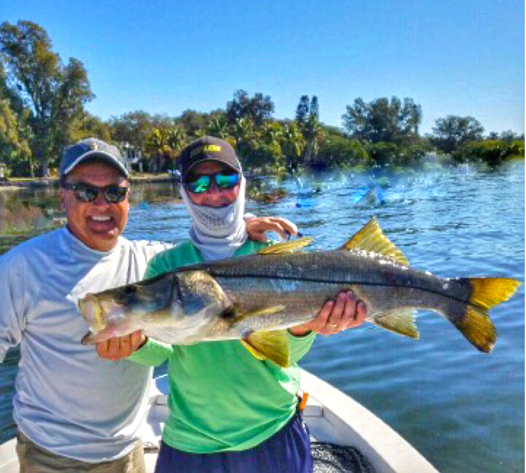 charter fishing tampa bay charter fishing tampa bay