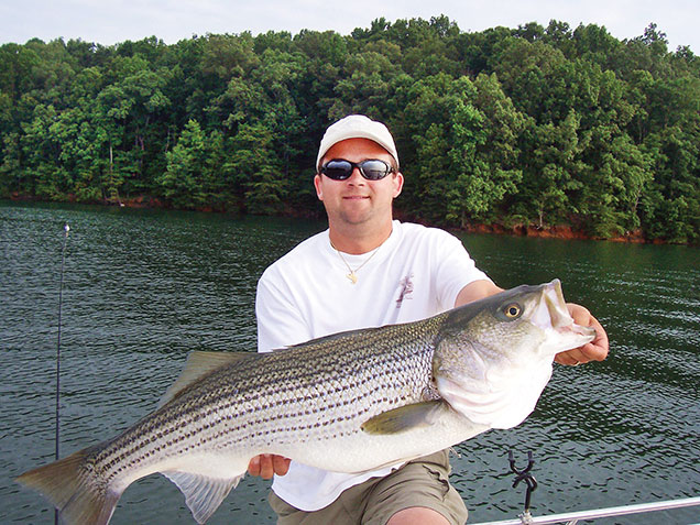 How to Catch a $10,000 Striped Bass Bounty - Coastal Angler & The