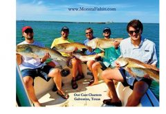 Outcast Charters