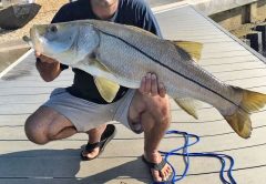 Josh Manso with a sweet springtime snook.