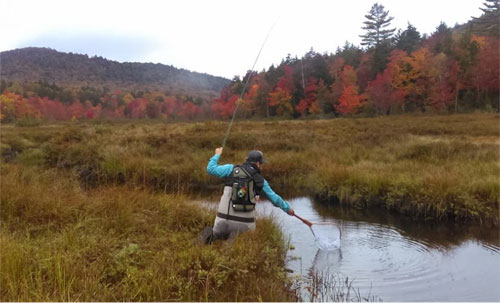 One-Eyed Hillbilly Outdoors: A Priceless Weekend Fishin' with the Family