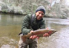 A nice Toccoa River delayed harvest rainbow with a snowy March background